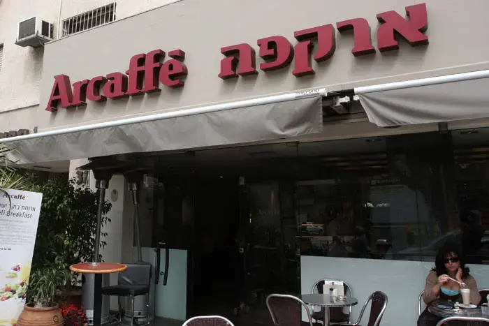 ארקפה מתורבתת