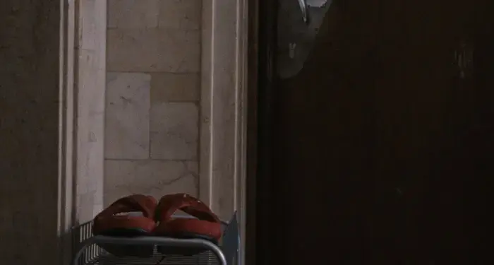 הסרט "סגל" יוקרן בפסטיבל קאן