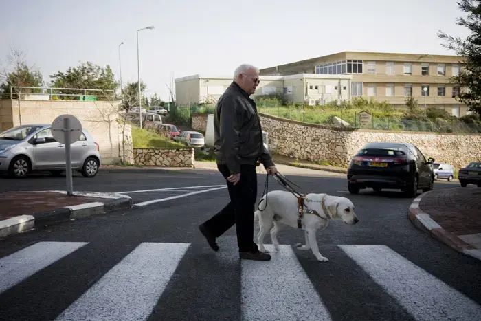 עובד כמו כלב - רכילויות מהשכונה