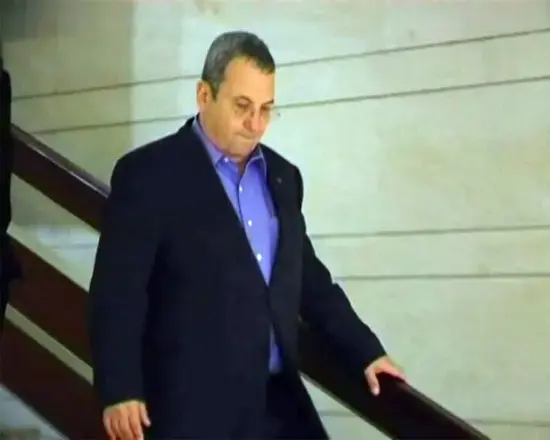 בר און: הממשלה לוקה בשפעת של חזירות