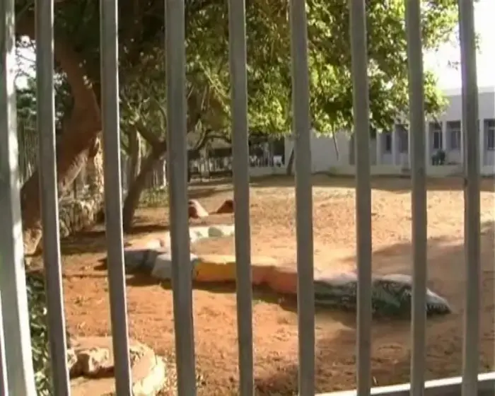 11 שנות מאסר לנהג שביצע מעשים מגונים בקטינים