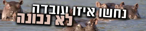 היפודרום