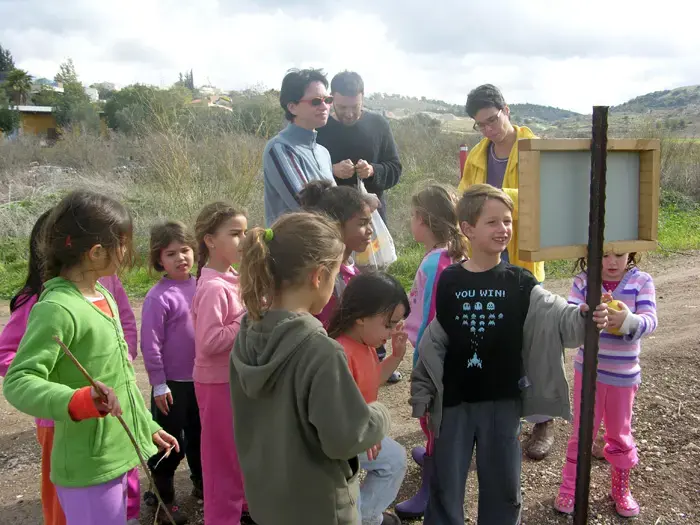 ללמוד בין טווסים