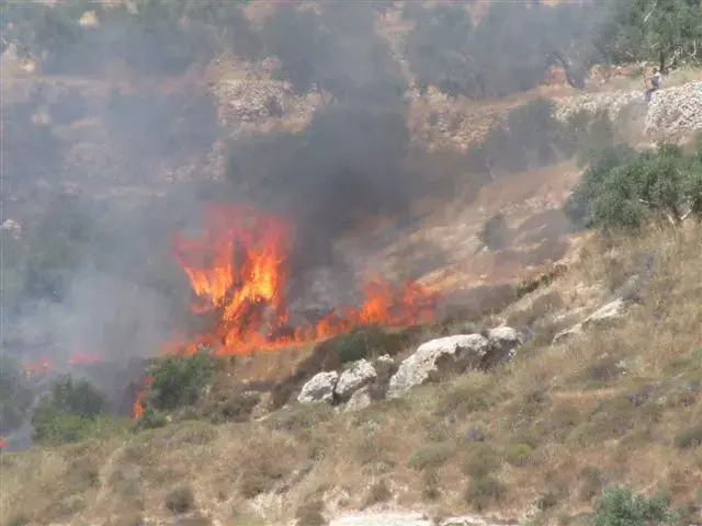 פצוע בעימותים בין מתנחלים לפלסטינים