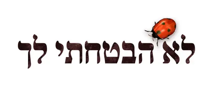 ניסוי 3