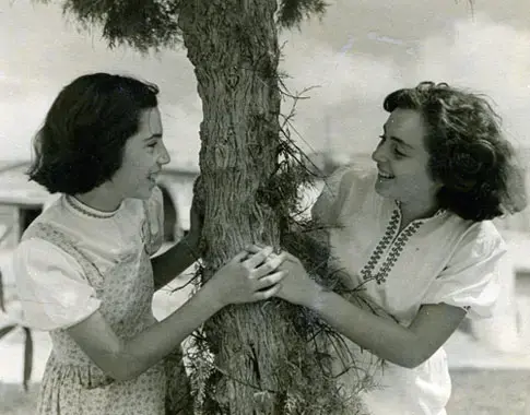 תימני ותיהני