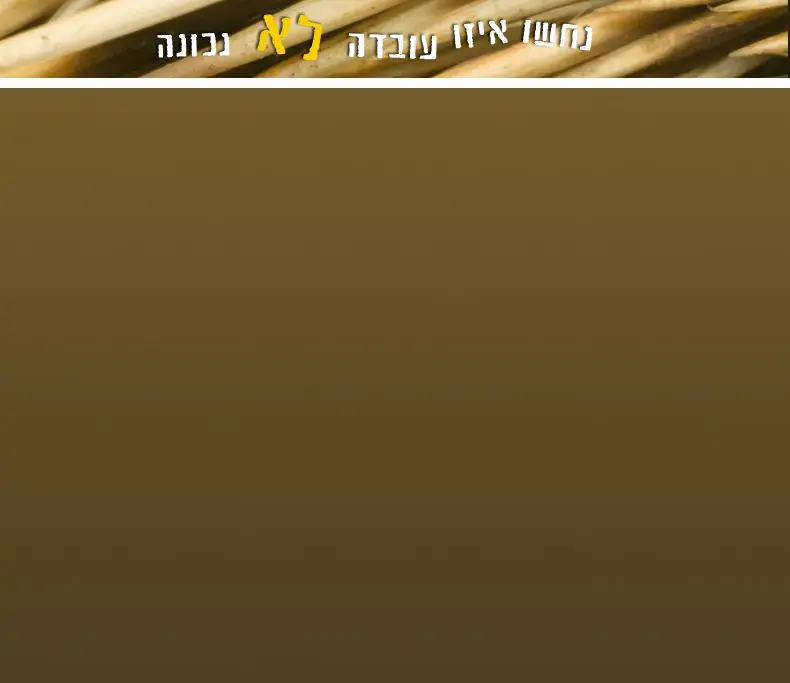 מילים כדרבונות