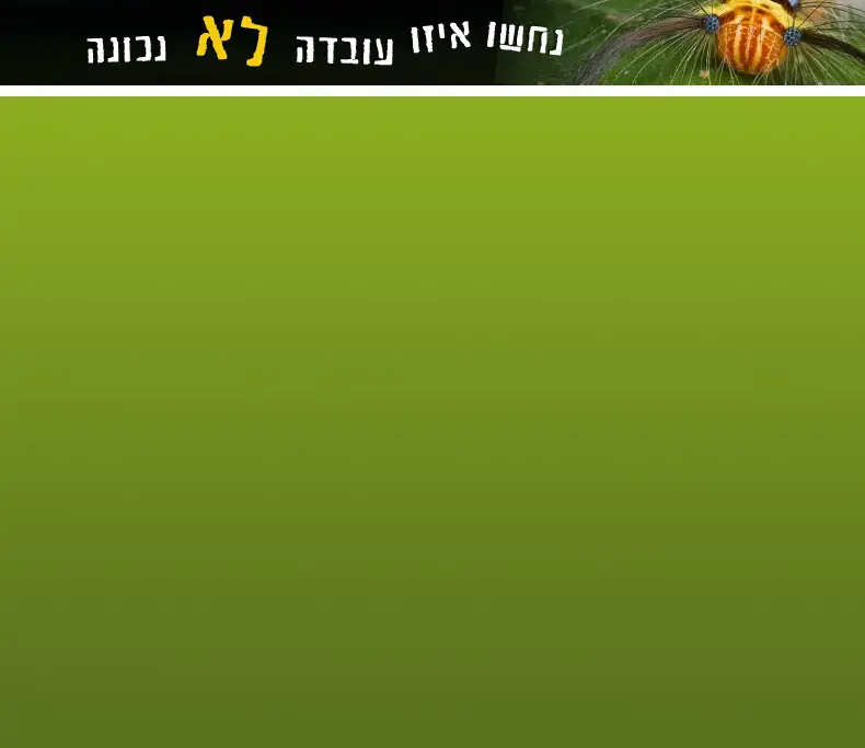 בדרך לפרפרות