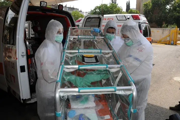 חי עם: "משפעת החזירים נדבקים פי ארבעה"
