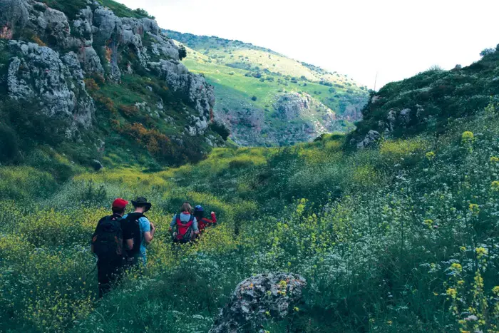מבשלים בשבילים נקיים