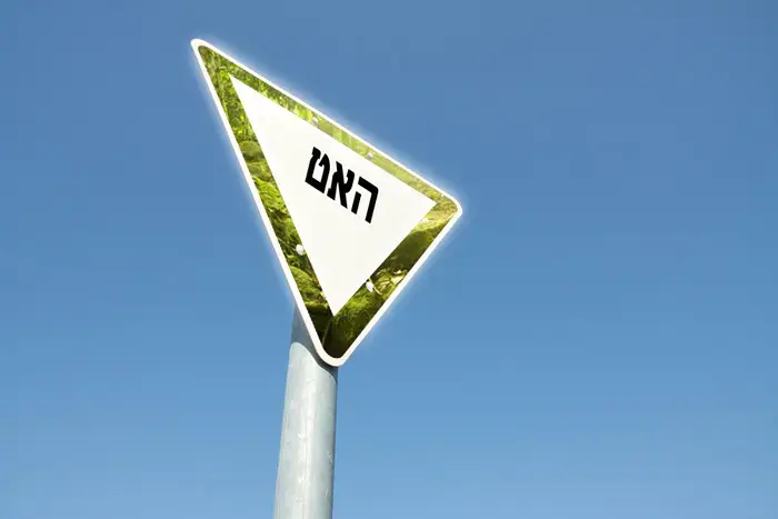 היסטוריה של איטיות