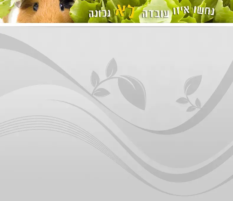 ראש קטן