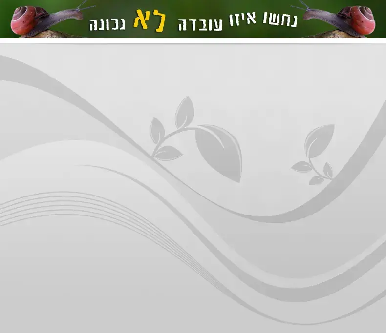 למה לצאת בחום הזה?