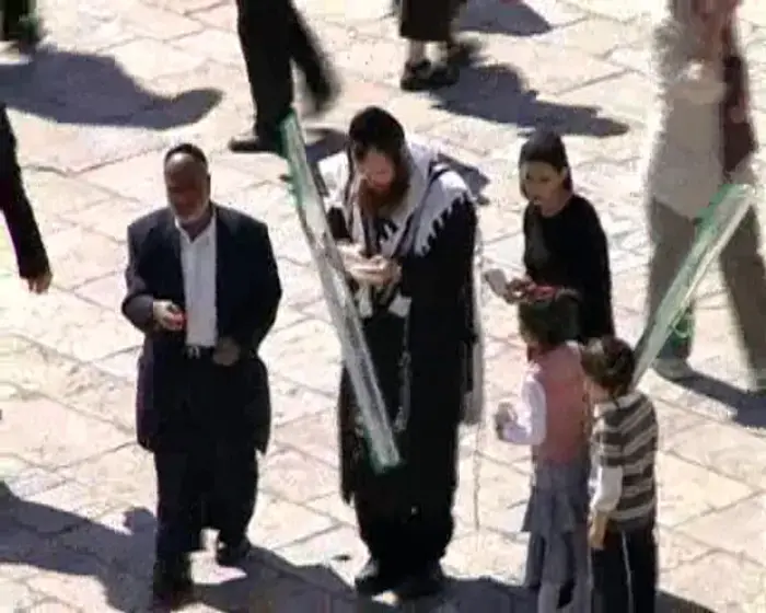 טיבי על פרנקו: "לא כל היהודים חכמים"