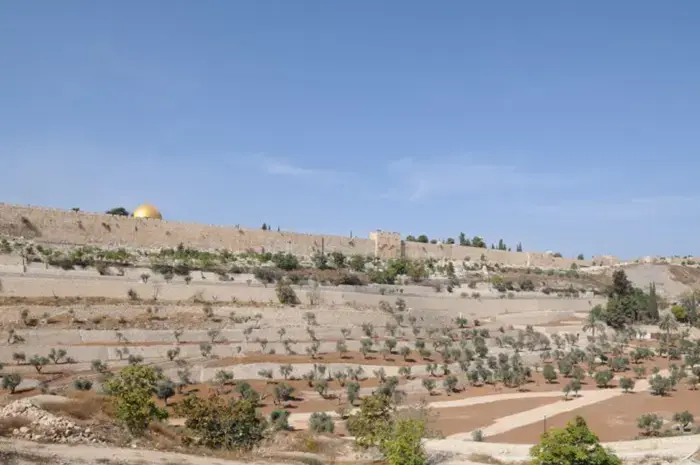 אהרונוביץ' לערבים: "עזרו למשטרה בהר הבית"