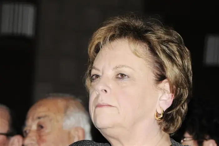 דורית ביניש: לספק הגנה לעורכי הדין בישראל