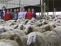 המניפולציות של "האמא של הגבעטרון" פשוט לא עובדות