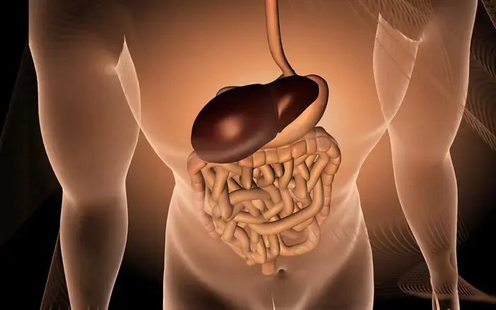 פריצת דרך: ה-FDA מאשר - התרופה לירידה במשקל מרפאה גם כבד שומני