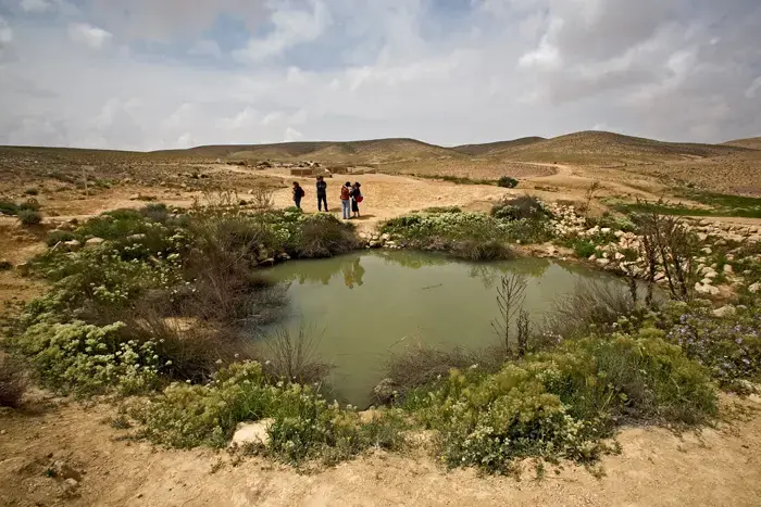 עוד תכנית הרסנית להפרחת הנגב