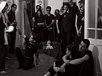 שמה למה דינג דונג - נאמר כבר הכל