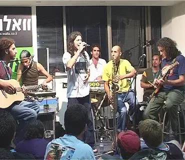 הדג נחש - המכונה של הגרוב