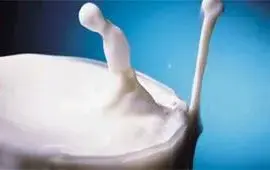 את החלב שותים דרך האף