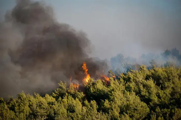 אי ירוק בהר: מלון יערות הכרמל נפתח מחדש