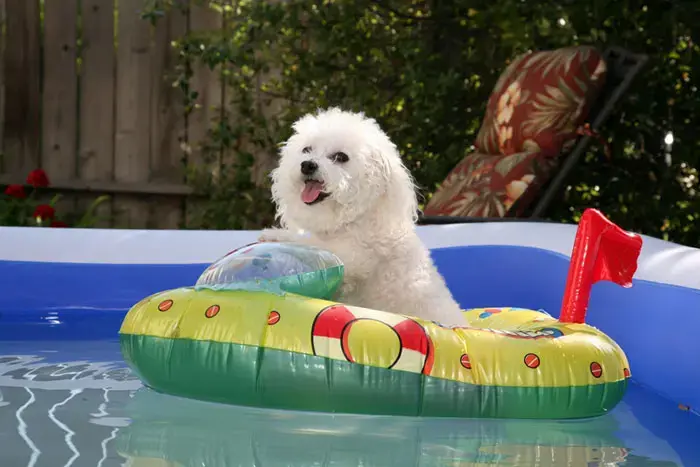 סוף לתאגידים? ניהול המים ישוב לרשויות המקומיות