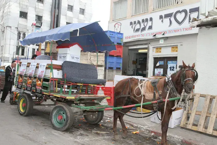 חוסכים בדלק: עמותת חלוקת מזון מגייסת סוסים