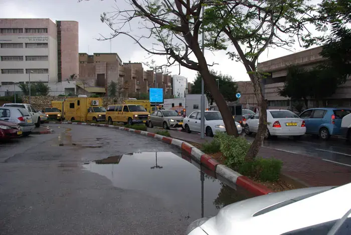 זעם בשיבא: "עובדי בנק הדם ששבתו סיכנו חיים"