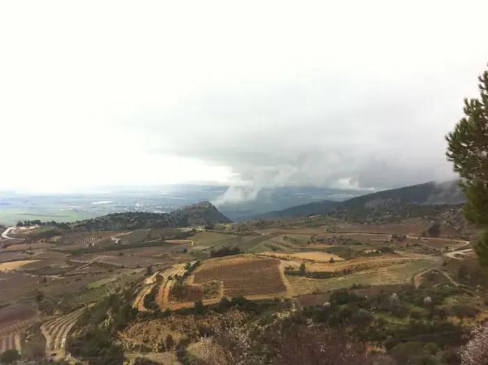 סערה בכוס? גשם אמנם ירד, אך השמש חזרה במהרה