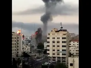 עורך דינו של אלוביץ' לישועה: הרושם הוא שפעלת בגלל יד 2 - וואלה! חדשות