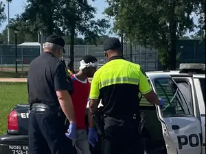 דריק לואיס לוחם MMA אמריקאי תופס על חם גנב שניסה לפרוץ לרכבו. צילום מסך, צילום מסך