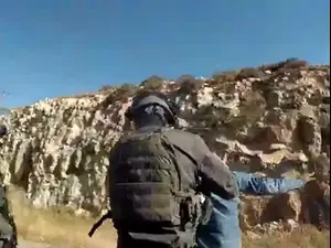 אוהבים אבוקדו? כך תדעו מתי לקנות כל זן - ואיך לגרום לו ...