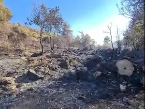 צפו: בחורה הציעה סקס ל-100 גברים ברחוב - מנחשים כמה הסכימו ...