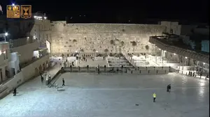 ×ª×ž×•× ×•×ª ×©×œ ×›×•×ª×œ ×ž×¢×¨×'×™ ×•×•××œ×