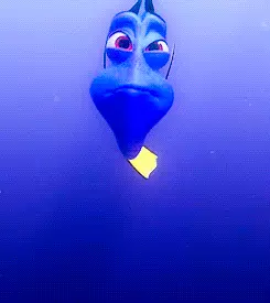 גיף נמו. Giphy גיף נמו. Giphy