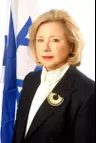 קולט אביטל