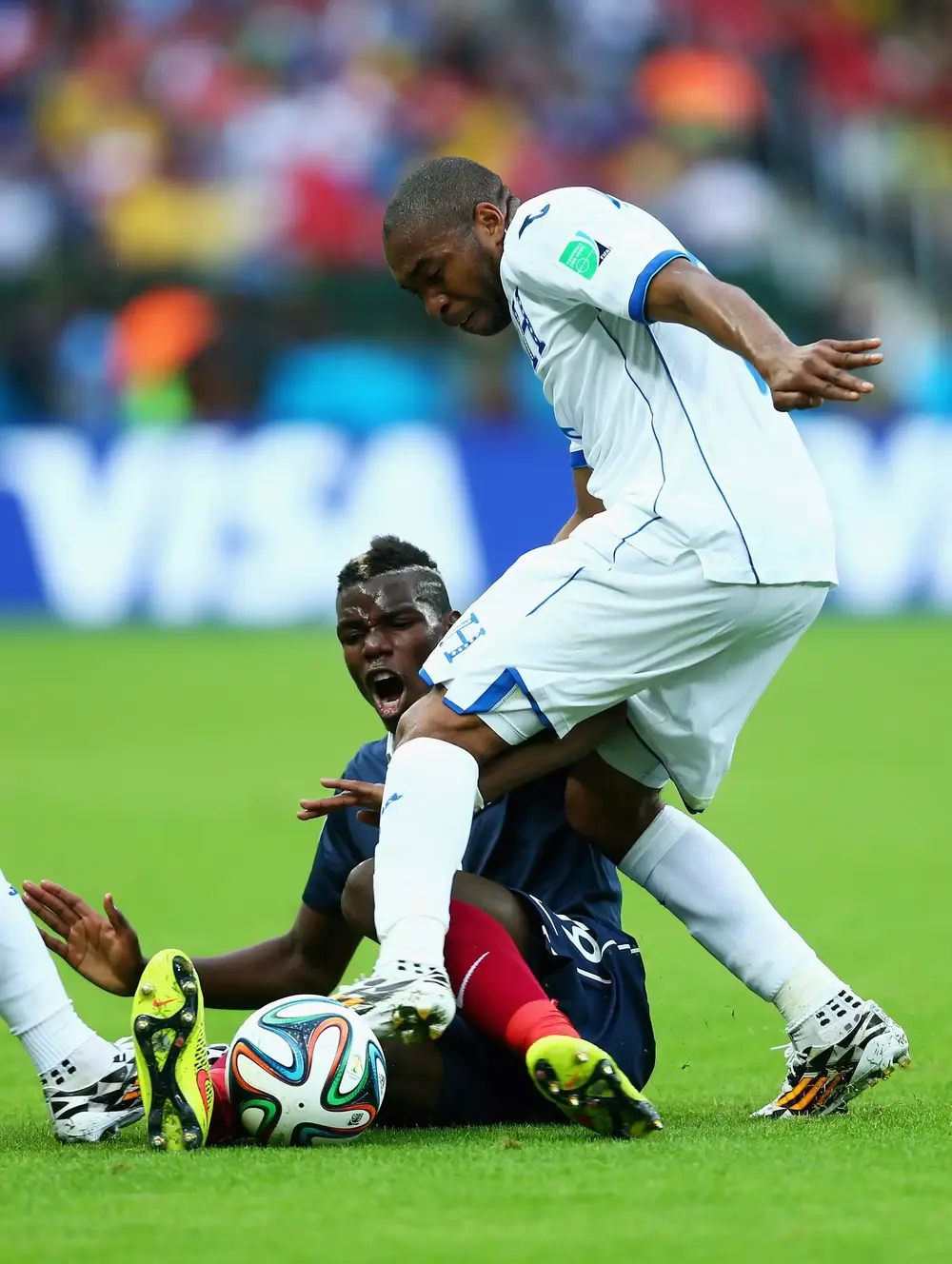 פול פוגבה, נבחרת צרפת, ווילסון פלאסיוס, נבחרת הונדורס