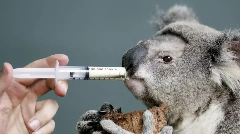 ×ª××× × ×§×©××¨×