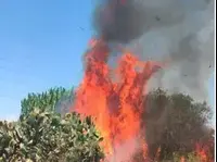 Incendies suite au lancement de ballons incendiaires dans la bande de Gaza le 10 août 2020