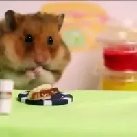 אוגר במלחמת אוכל (צילום מסך , יוטיוב)