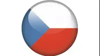 דגל נבחרת צ'כיה (ShutterStock)