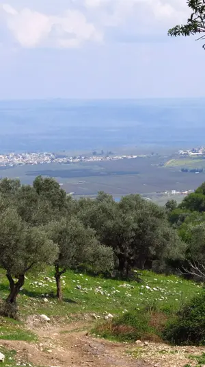 מסלול נחל ראש פינה. רמי גלבוע, מערכת וואלה!