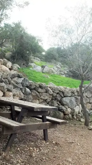 שביל הבארות ובורות המים פארק בריטניה. איל שפירא, מערכת וואלה! NEWS