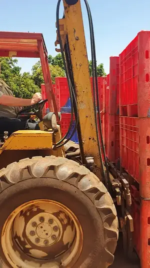 עופר מושקוביץ(פושקו),מרכז המטע אבוקדו של משגב עם.12 במאי 2020. שלומי גבאי