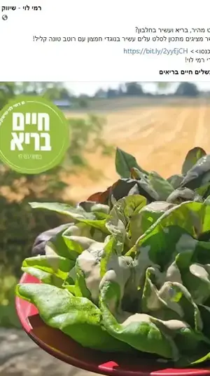 רמי לוי פייסבוק. צילום מסך, צילום מסך