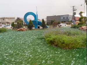 שלג יורד באתר החרמון גשם ורוחות ברחבי הארץ התחזית המלאה וואלה