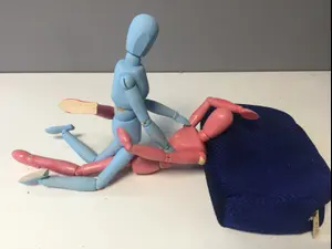 ראשית (מערכת Sheee)