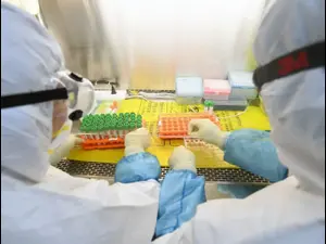 Des chercheurs du laboratoire de la ville de Wuhan, en Chine, enquêtent sur des échantillons de virus corona, 6 février 2020